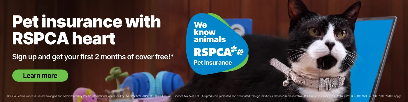 pet insurance banner 2mf 1400x350